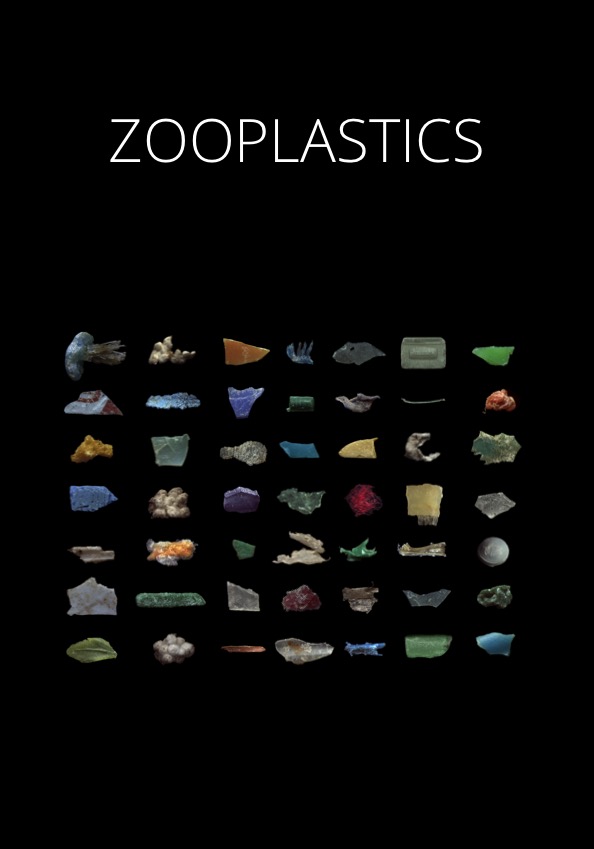 Zooplastics - Picture