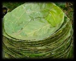 Banana leaf plates - Picture